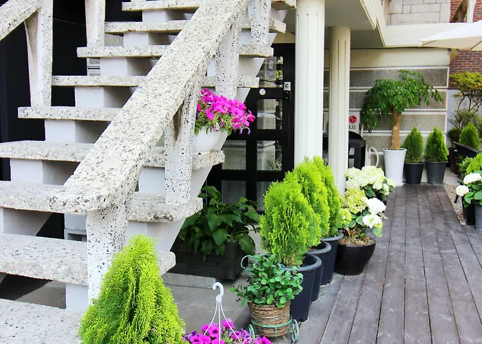 Okidoki House 4* Seúl